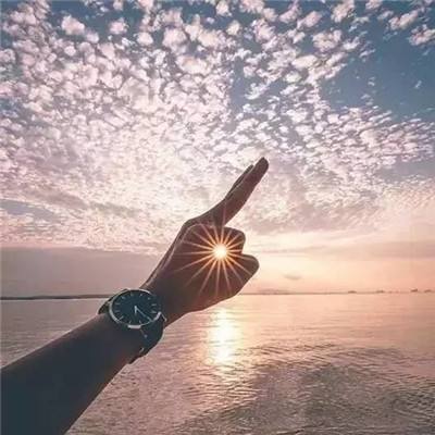 明日之舟罗德计划官方版下载